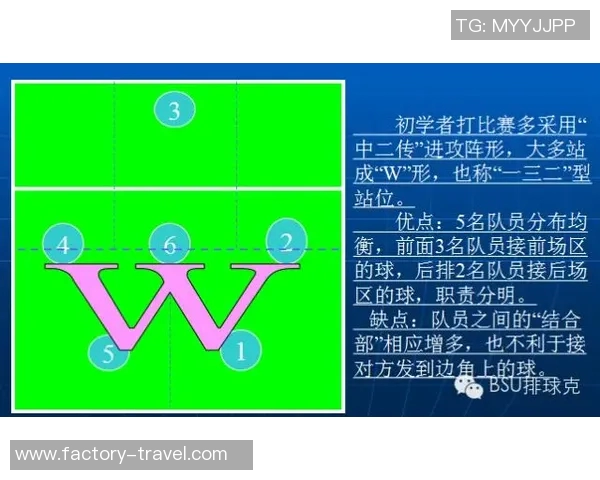 深圳排球队在总决赛中的耐力表现与战术分析全面解读