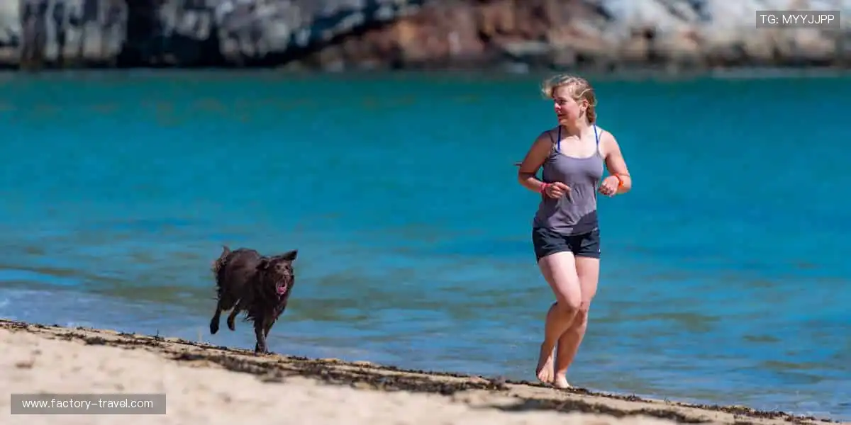 🏃 热血赛场，见证每一刻突破！